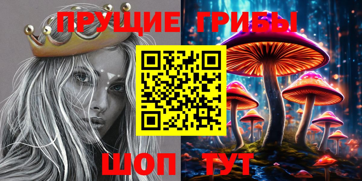 Батайск  Псилоцибиновые грибы Cubensis  Вход с VPN 