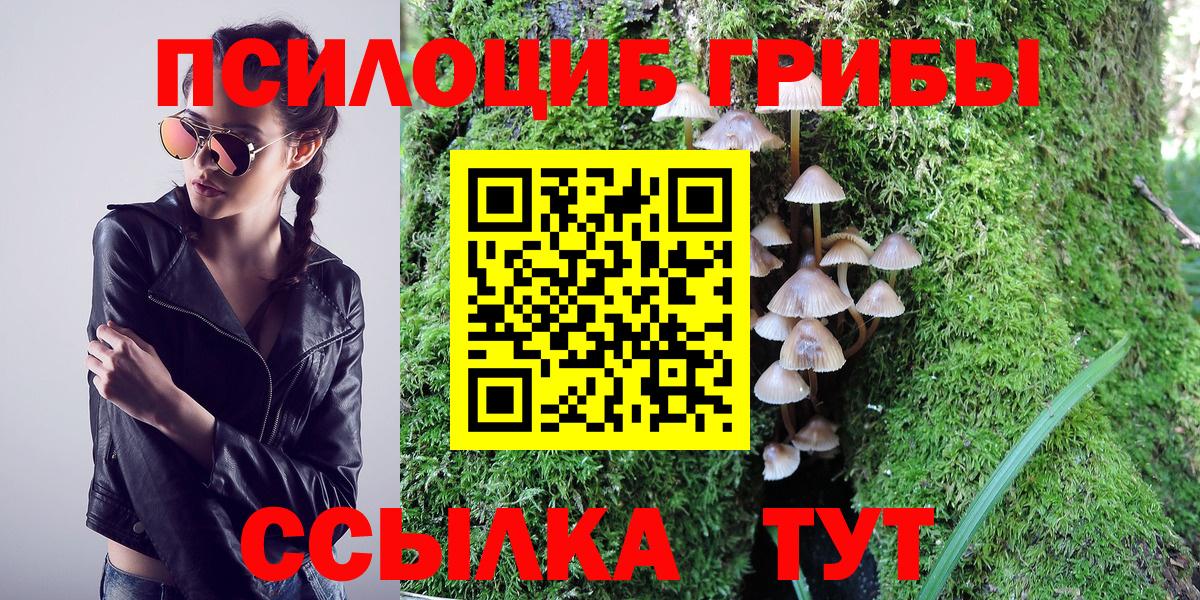 Псилоцибиновые грибы прущие грибы Батайск